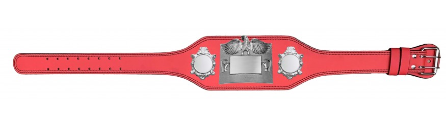 SMALL SILVER EAGLE CHAMPIONSHIP BELT - PLT299/S -4 COLOURS - BLACK, RED, BLUE, GREEN